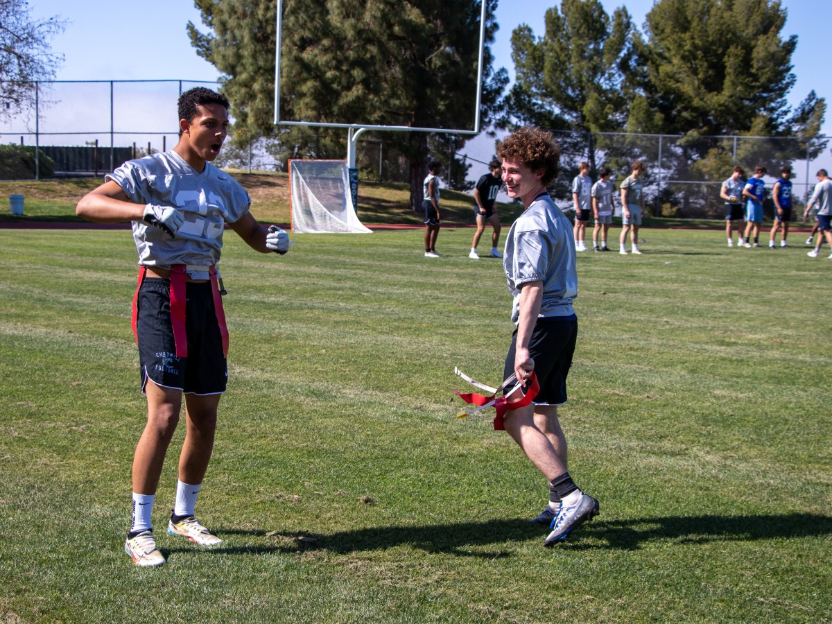 Dolphins dive into Division 1 flag football, no helmets&nbsp;necessary