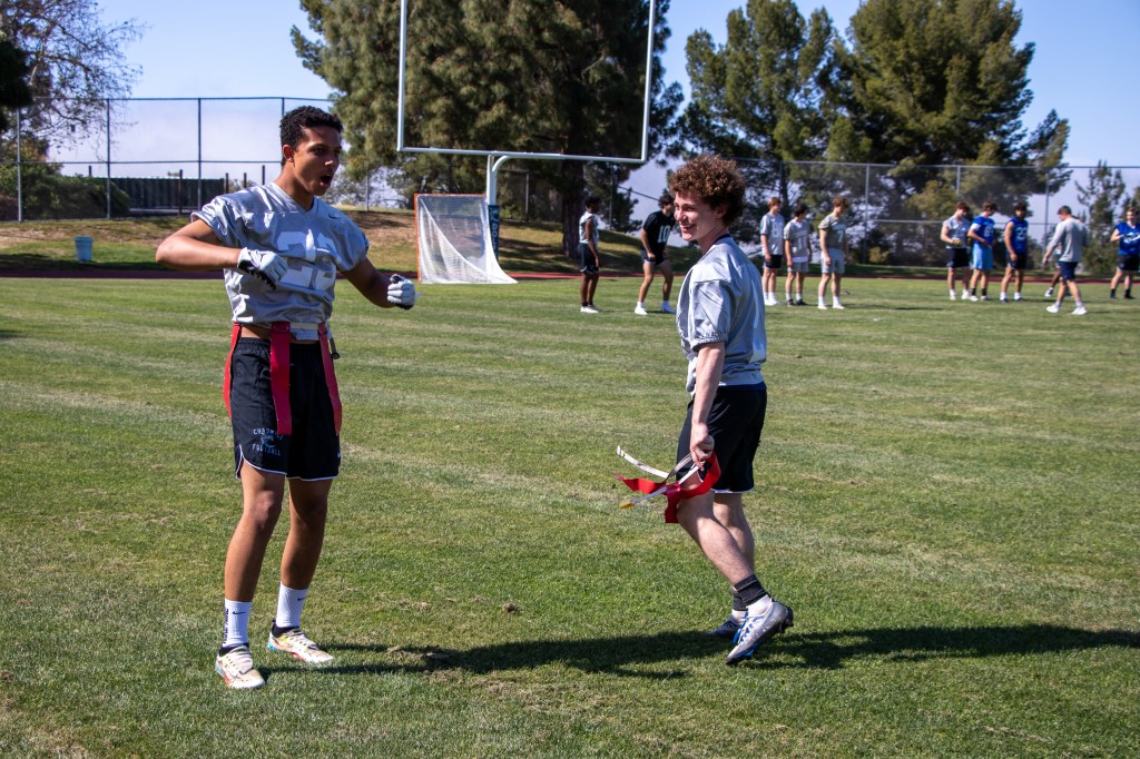 Dolphins dive into Division 1 flag football, no helmets&nbsp;necessary