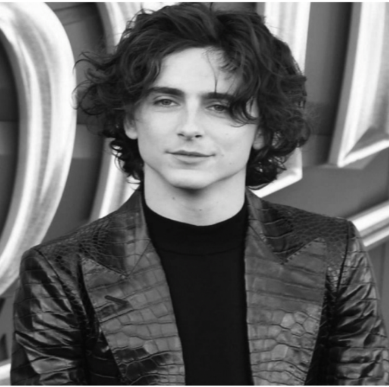 Chalamet: My DiCaprio