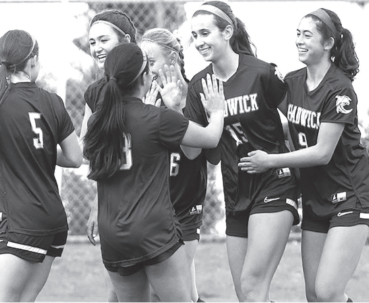 Good Referees Are Vital to All Sports’ Integrity